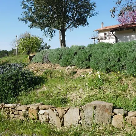Farm stay Tenuta Le Mandorlaie, In
