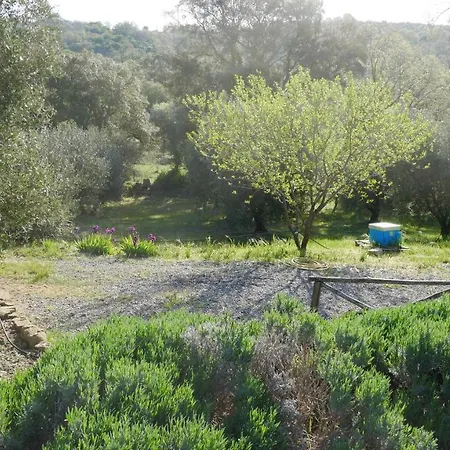Tenuta Le Mandorlaie, In Scansano
