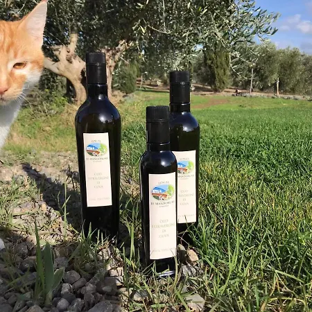 Tenuta Le Mandorlaie, In *