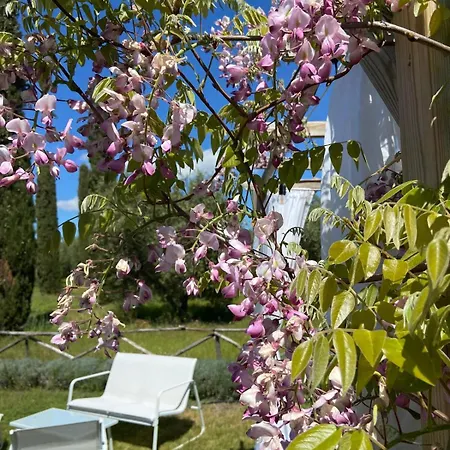 Tenuta Le Mandorlaie, In Scansano