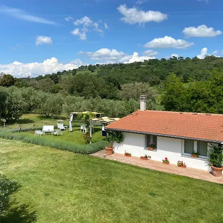 Tenuta Le Mandorlaie, In *