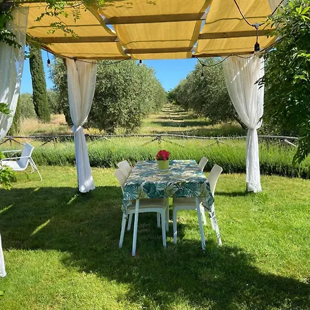 Tenuta Le Mandorlaie, In Scansano