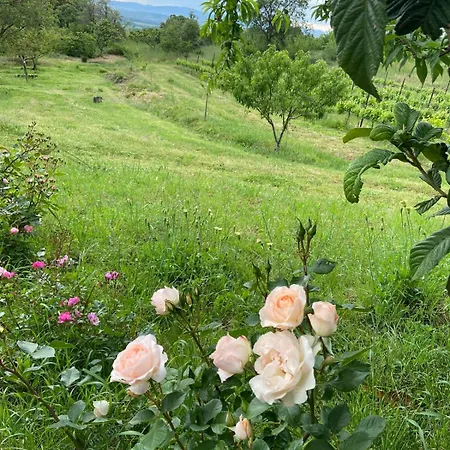 Farm stay Tenuta Le Mandorlaie, In *