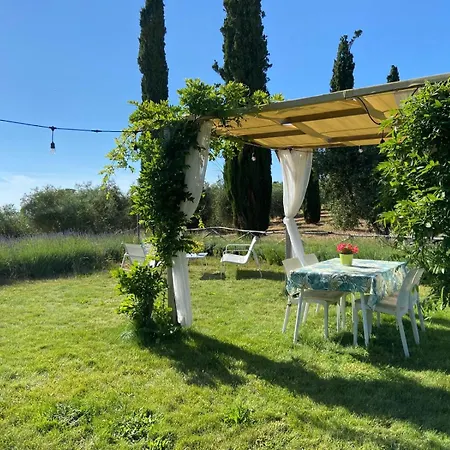Tenuta Le Mandorlaie, In *