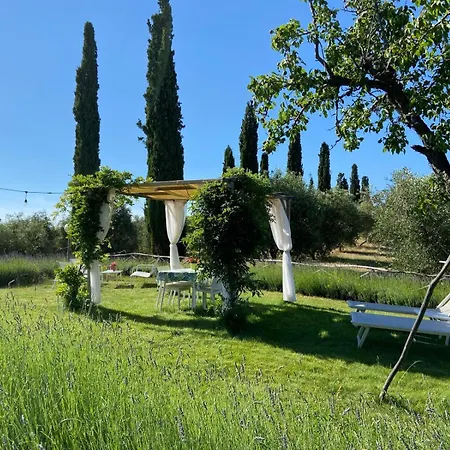 Farm stay Tenuta Le Mandorlaie, In