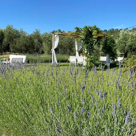 Tenuta Le Mandorlaie, In Farm stay Scansano