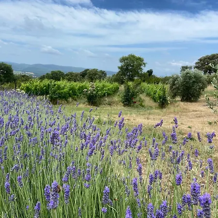 Tenuta Le Mandorlaie, In Farm stay Scansano