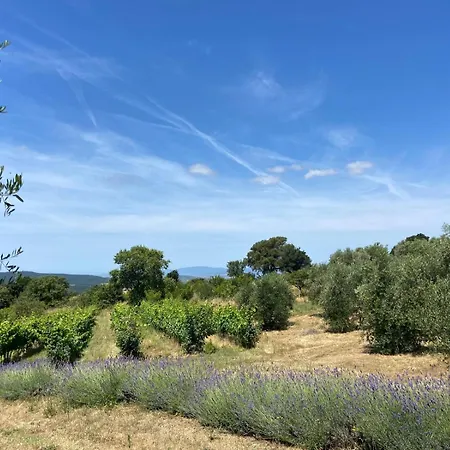 Tenuta Le Mandorlaie, In Farm stay