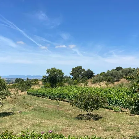 Tenuta Le Mandorlaie, In * Scansano