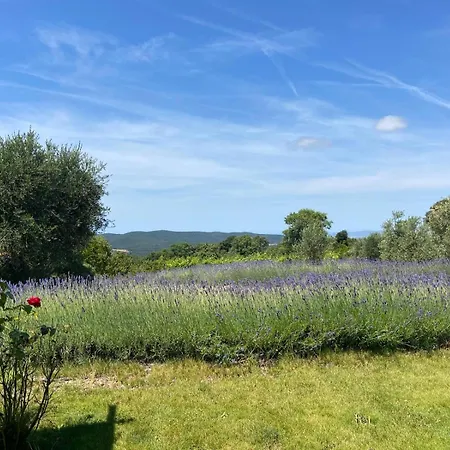 Tenuta Le Mandorlaie, In Farm stay *