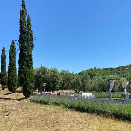 Alloggio per agriturismo Tenuta Le Mandorlaie, In *