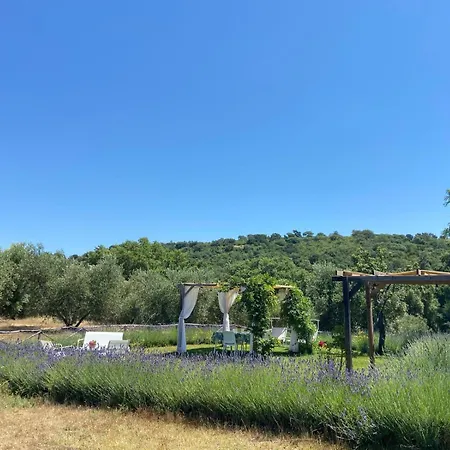 Tenuta Le Mandorlaie, In Farm stay Scansano