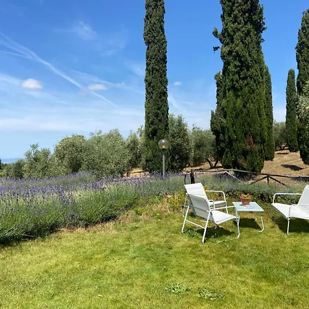 Alloggio per agriturismo Tenuta Le Mandorlaie, In *