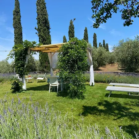 Tenuta Le Mandorlaie, In *