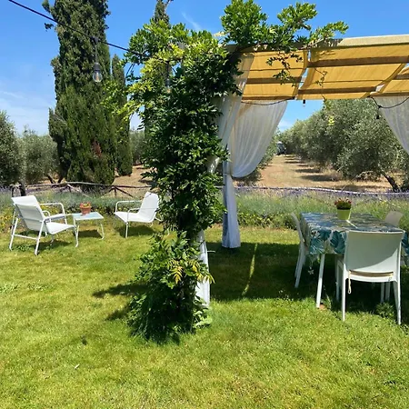 Tenuta Le Mandorlaie, In * Scansano