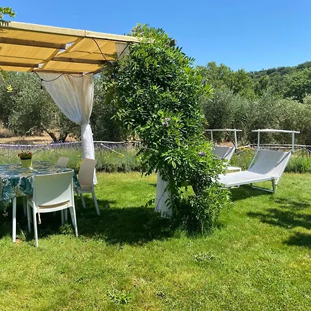 Tenuta Le Mandorlaie, In Farm stay