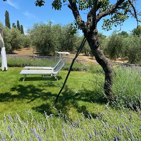 Tenuta Le Mandorlaie, In Scansano